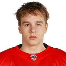 Анисимов Денис