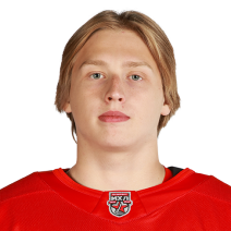 Тюрин Никита