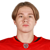 Огородников Ярослав