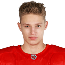 Прохоров Илья Д.